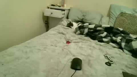 Gem online show from 03.06.26