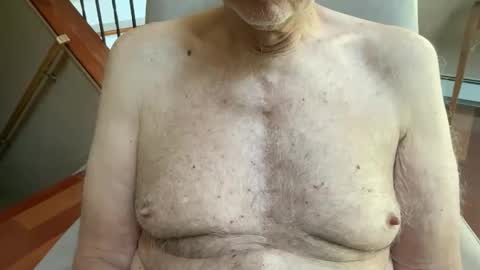 Stillbad2 online show from 04.17.26