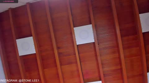 Stone Lee  online show from 01.22.25