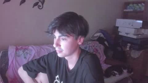 Snapshot of stralght_twinks chatting on 06.13.26 Ray online show from 06.13.26