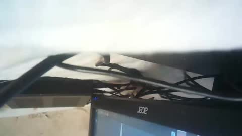 strangerdanger_2 online show from 01.09.26