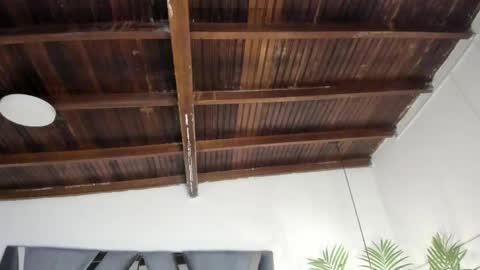 Alexa   online show from 04.08.26