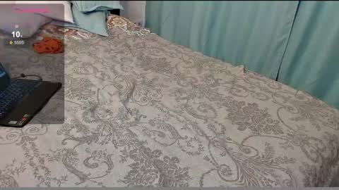 stupid little kitten online show from 12.06.24