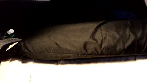between my legs online show from 06.17.26