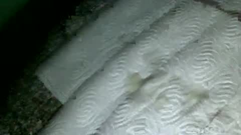 Snapshot of suesser0009 chatting on 02.18.25 Martin sweetboy online show from 02.18.25