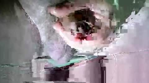 Snapshot of suesser0009 chatting on 10.20.25 Martin sweetboy online show from 10.20.25