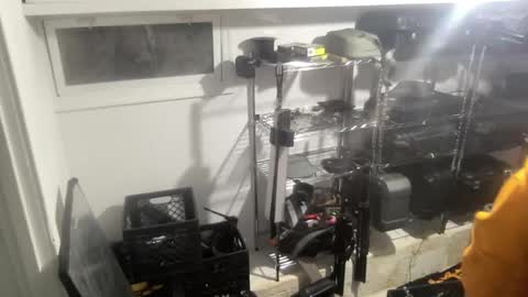 Sugar online show from 12.28.24