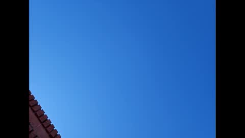 Snapshot of suntroll chatting on 01.06.25 Suntroll online show from 01.06.25