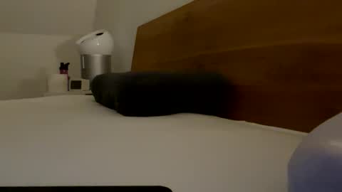 surfstar81 online show from 03.20.26