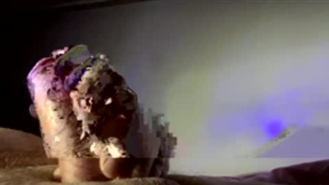 surgenz73 online show from 01.16.26