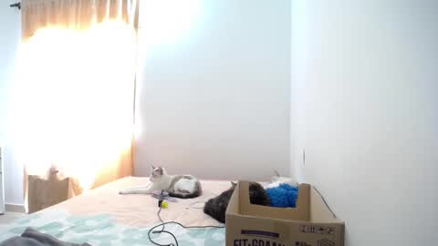 Susana online show from 01.23.25