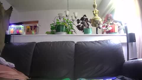 Otto online show from 01.16.26