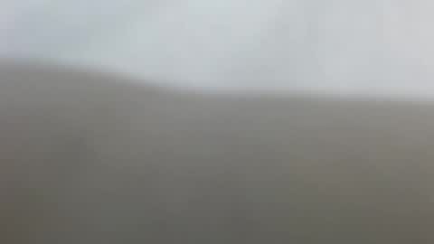 Suzy online show from 02.17.26