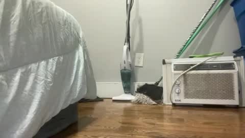 Just E  F3M B0i  online show from 03.07.25