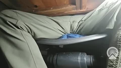 Snapshot of swamp486822 chatting on 02.05.25 swamp486822 online show from 02.05.25