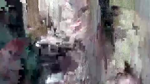 sweet_chel online show from 05.09.26