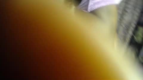 Kush online show from 06.22.26
