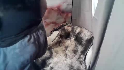 RUBY online show from 11.19.25