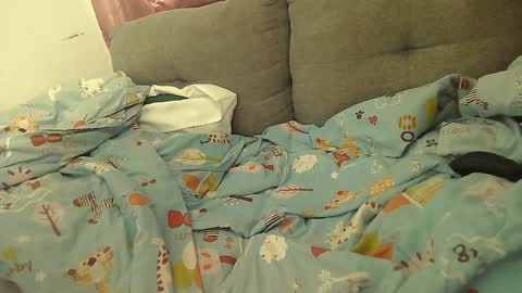 Stacy online show from 01.02.25