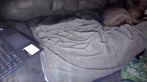 sweetgesus online show from 01.05.25