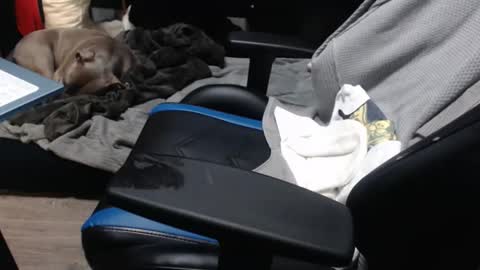 sweetgesus online show from 11.06.25