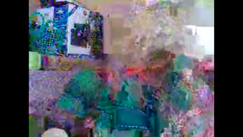 Snapshot of sweetib1 chatting on 02.27.25 sweetib1 online show from 02.27.25