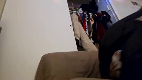 sweetp3ach29 online show from 12.16.24