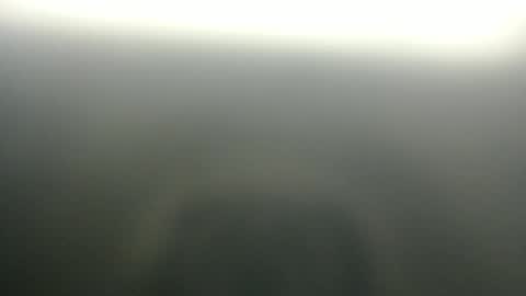 slim ivy online show from 04.03.26