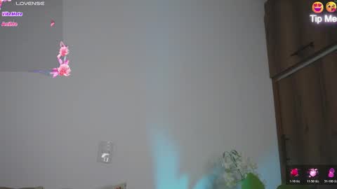 Hello Welcome Im here from WEDNESDAY to SUNDAY 430am to  830am and 3  to 7  timeMONDAY and TUESDAY i rest online show from 03.05.26