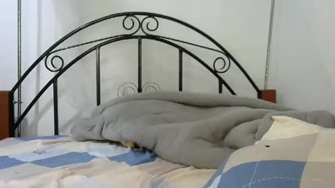 Snapshot of sweetvalariy chatting on 01.24.25 sweetvalariy online show from 01.24.25