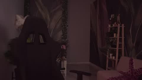 Emily online show from 08.02.26
