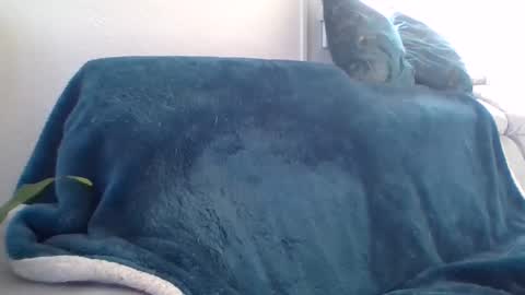 swissride online show from 02.27.25