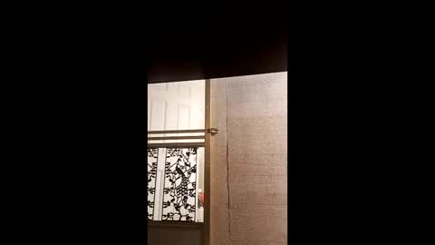 syevecrl online show from 02.04.26