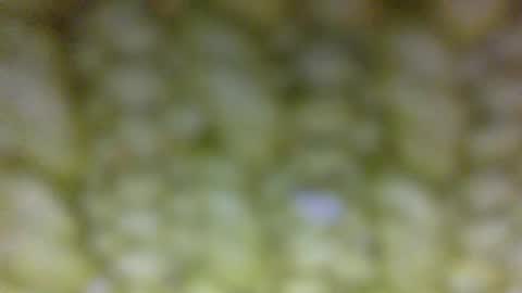Prostate Orgazmer online show from 05.29.26