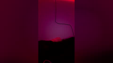 t_wilo online show from 04.02.26