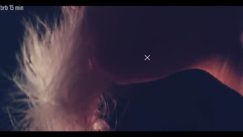 TAANNI online show from 09.18.25