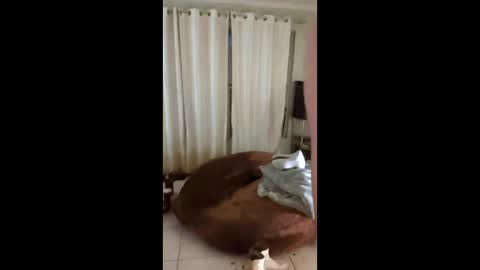 Snapshot of tab7exp chatting on 03.21.26 tab7exp online show from 03.21.26