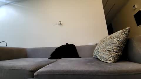 Tala online show from 02.25.25