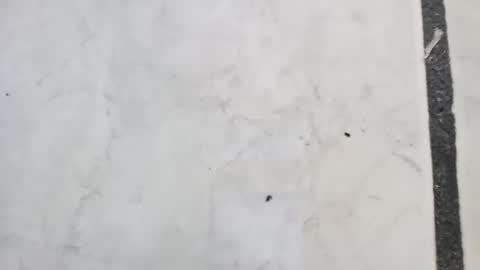 Snapshot of tall6feet7inch chatting on 09.14.25 tall6feet7inch online show from 09.14.25