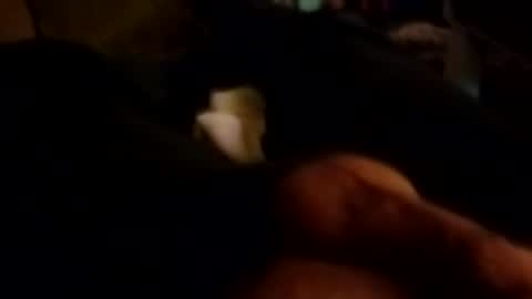 The Man of Steel online show from 10.26.25