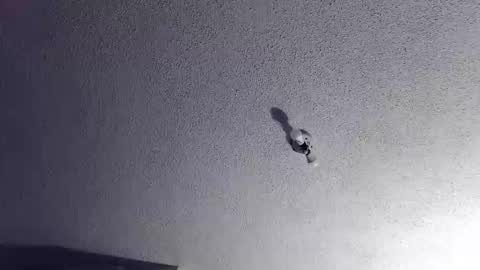 technosex14 online show from 11.20.25