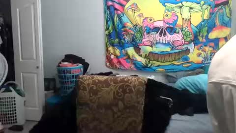 tehkie online show from 06.24.26