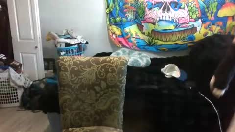 tehkie online show from 06.25.26