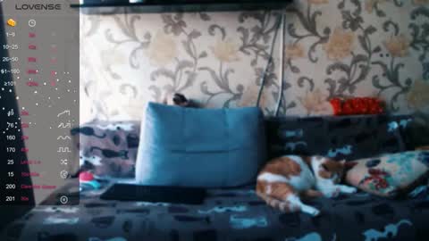 Ada  online show from 12.19.25