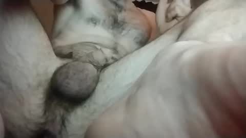 Snapshot of teoorry995266 chatting on 01.19.25 Toerry online show from 01.19.25