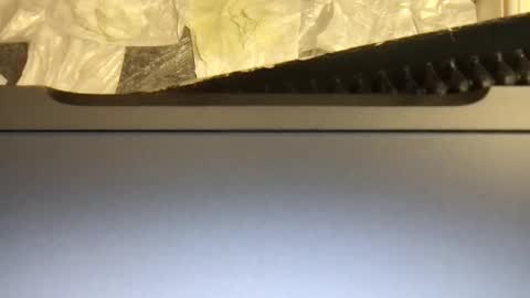 Terence online show from 11.09.25