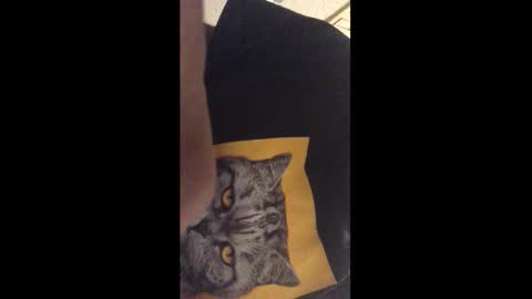 Snapshot of tericmidnight chatting on 12.17.25 Call me Jason online show from 12.17.25