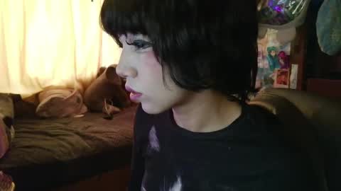 Terra Elowen online show from 04.09.26