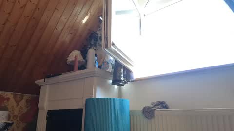 Snapshot of tessawinter chatting on 04.26.26 Tessa online show from 04.26.26
