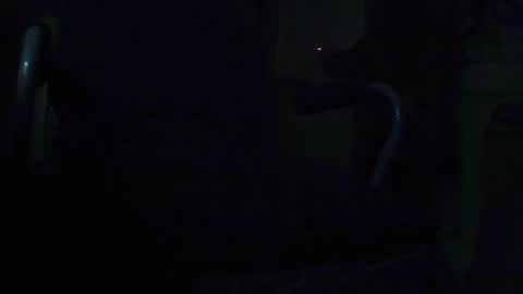 tetuo2 online show from 09.28.25